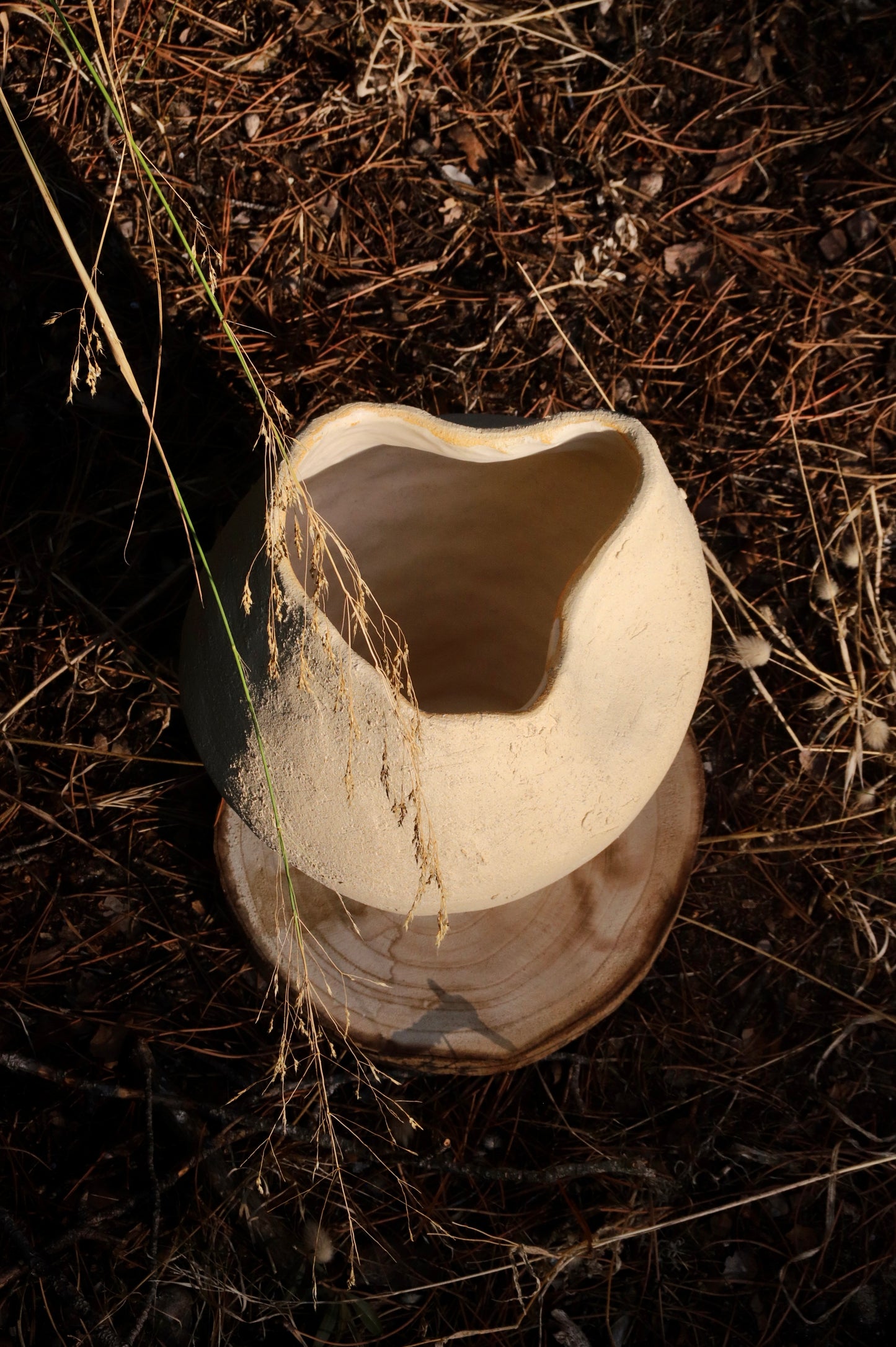 Organic Stoneware Vase